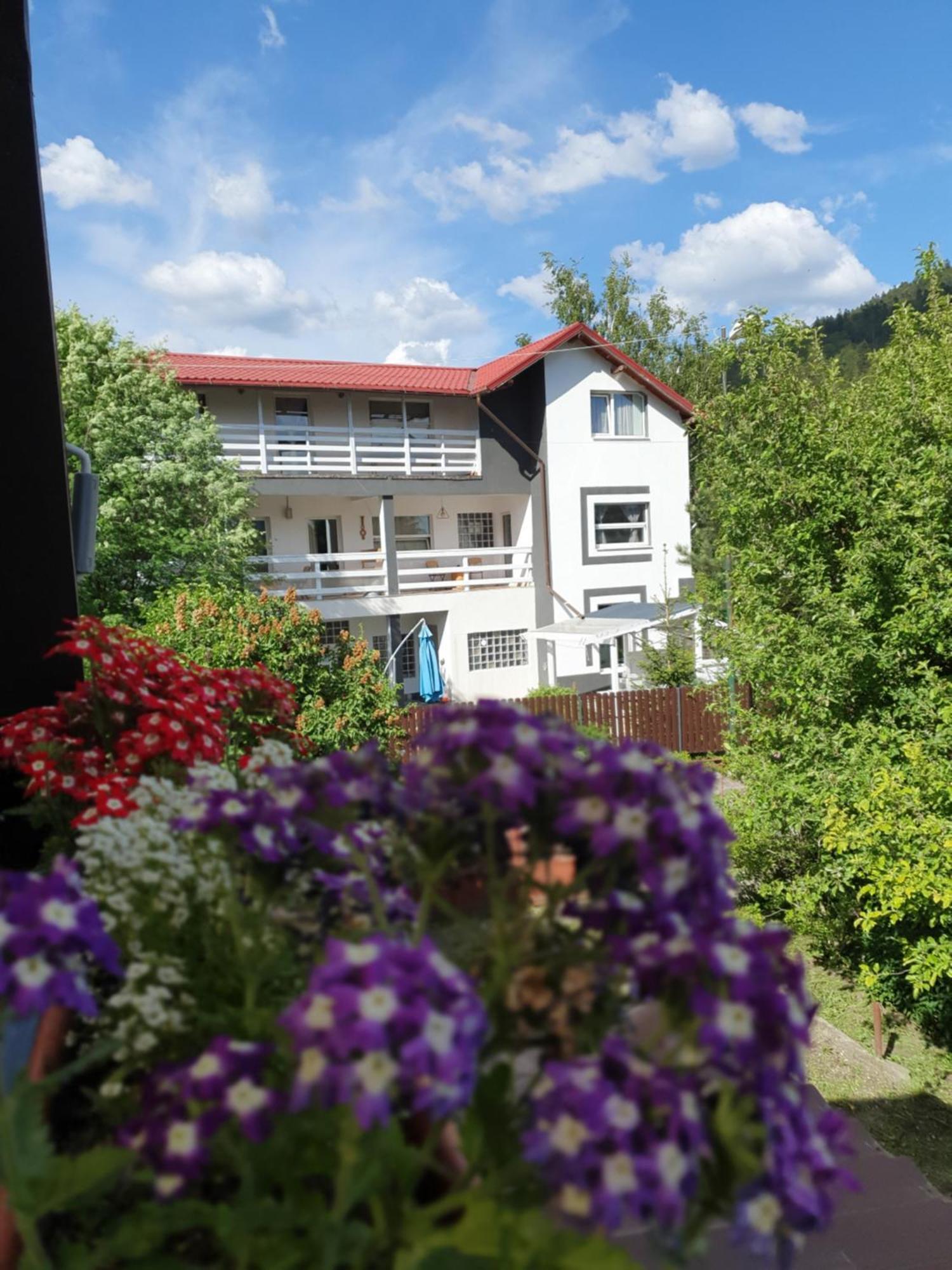 Hotel Casa David Buşteni Exterior foto