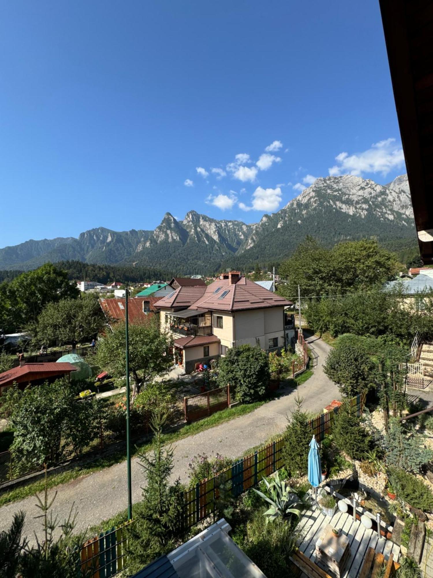 Hotel Casa David Buşteni Exterior foto