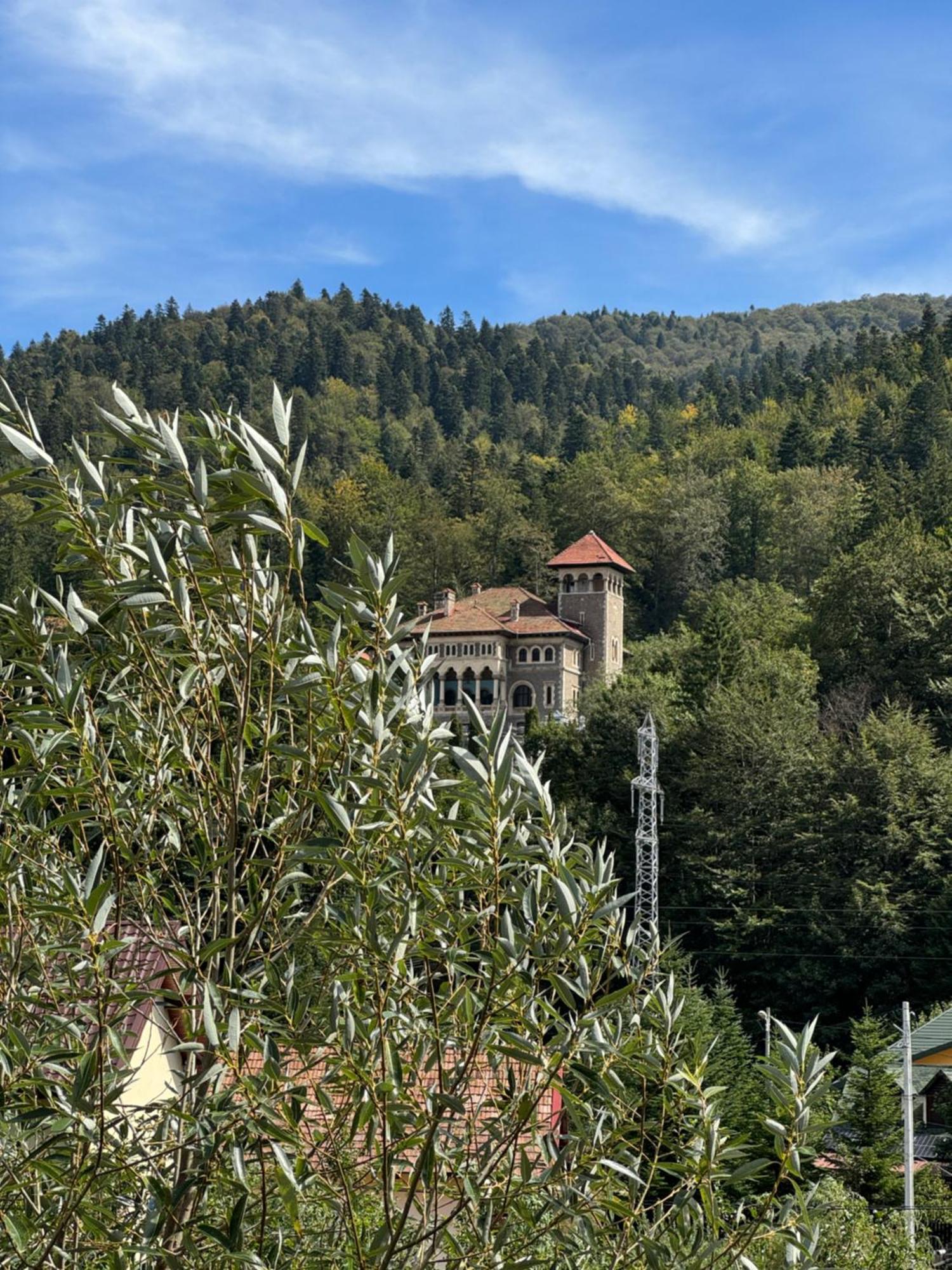 Hotel Casa David Buşteni Exterior foto