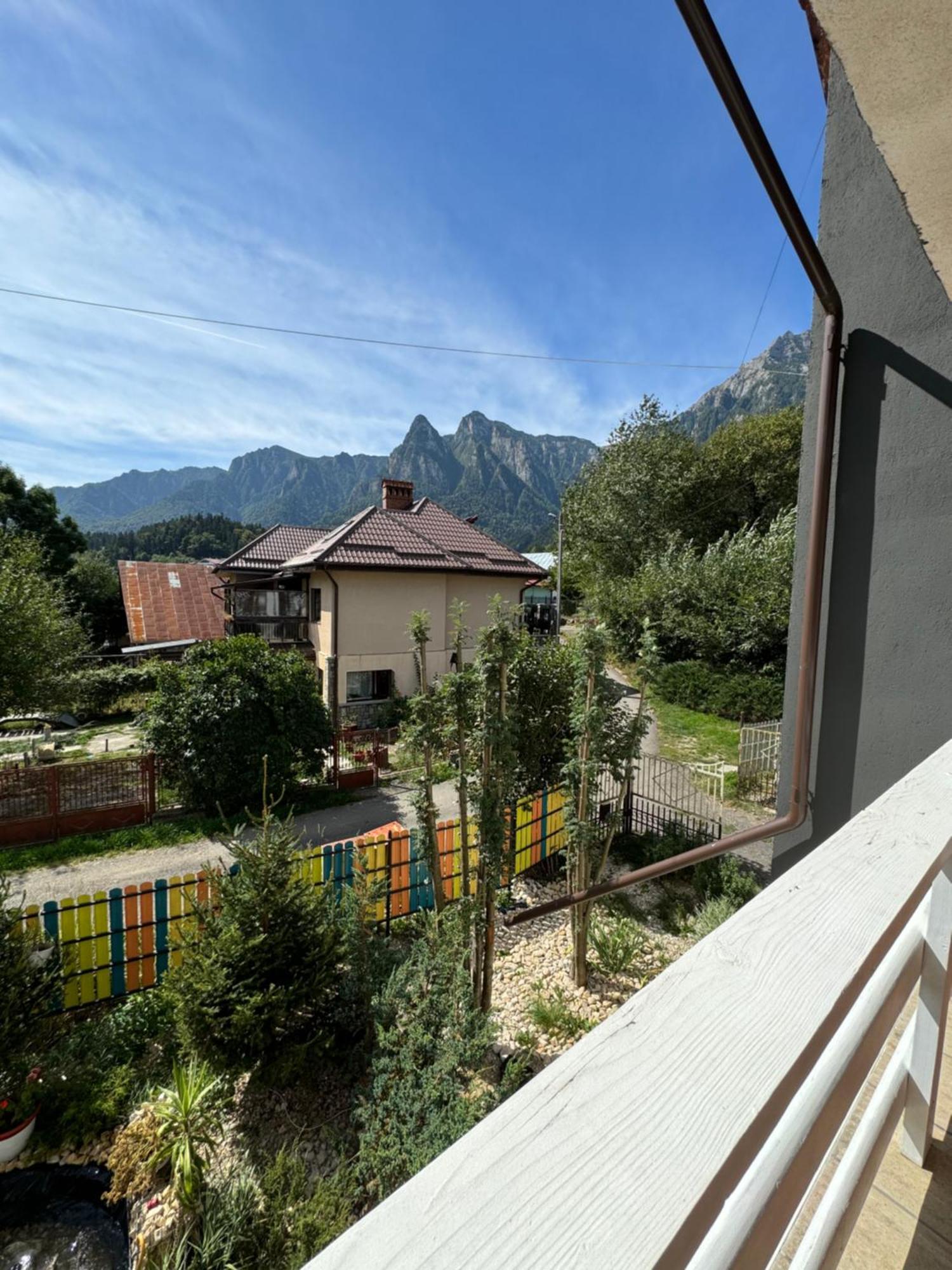 Hotel Casa David Buşteni Exterior foto