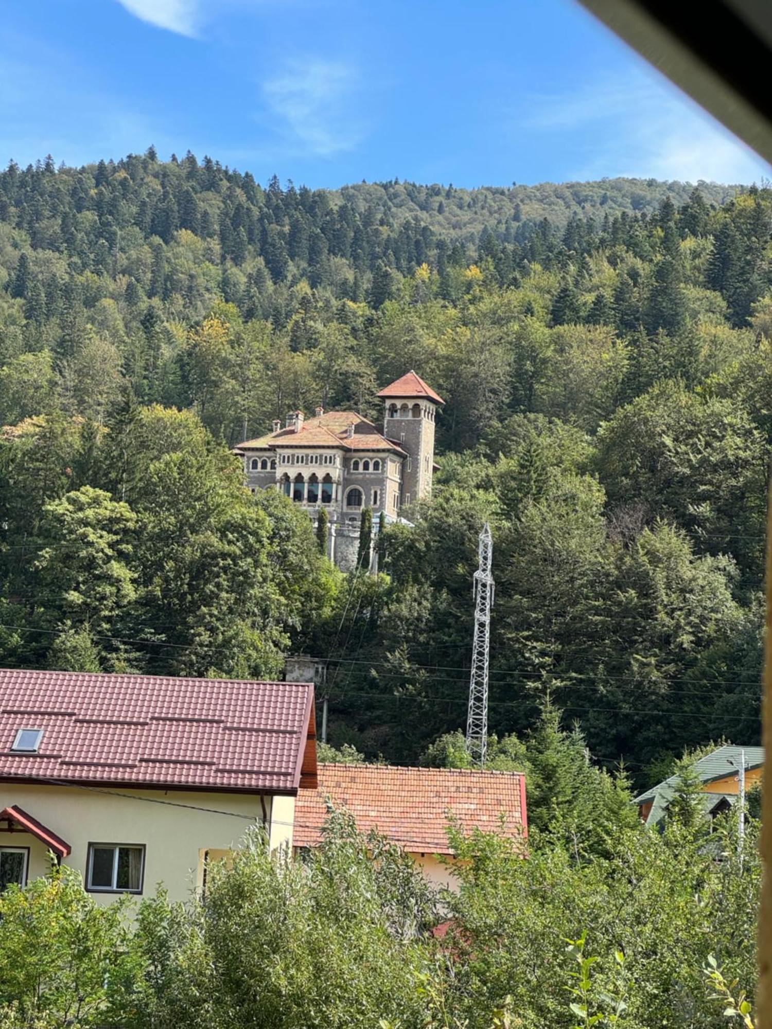 Hotel Casa David Buşteni Exterior foto
