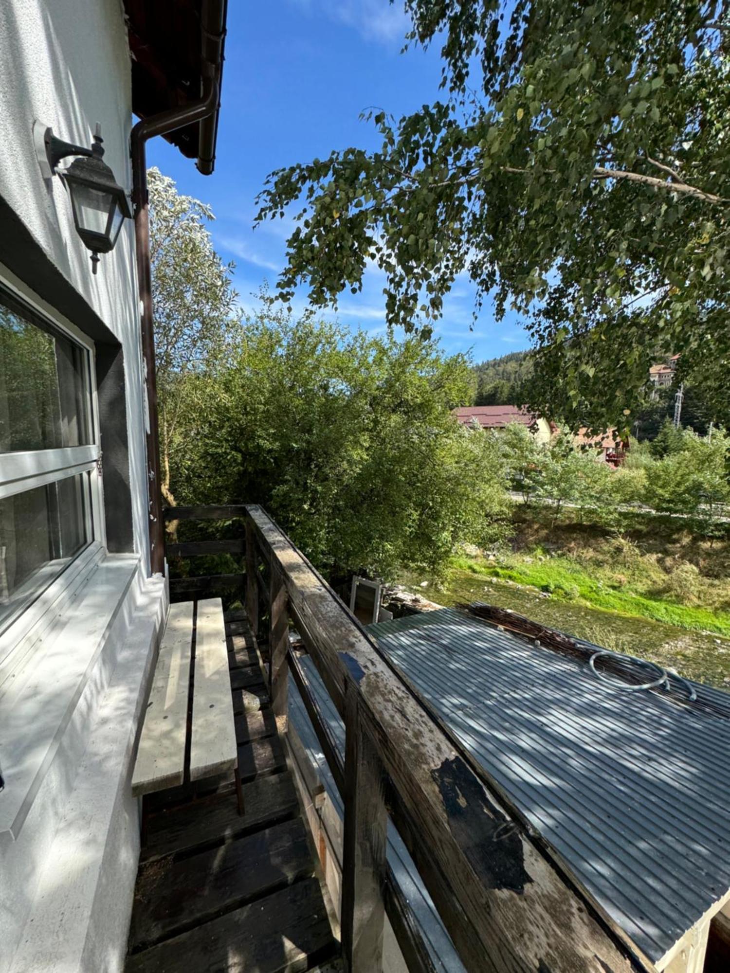 Hotel Casa David Buşteni Exterior foto